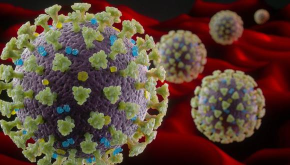 Variante brasileña es la mayor causa de COVID-19 en Lima: ¿qué sabe la ciencia sobre ella?