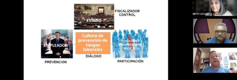 Presidentes de Cuerpos Médicos tuvieron reunión virtual sobre proceso eleccionario de Comité y Subcomités a nivel nacional