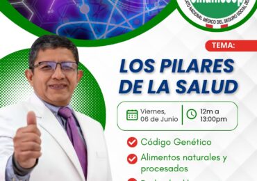 Los Pilares de la Salud